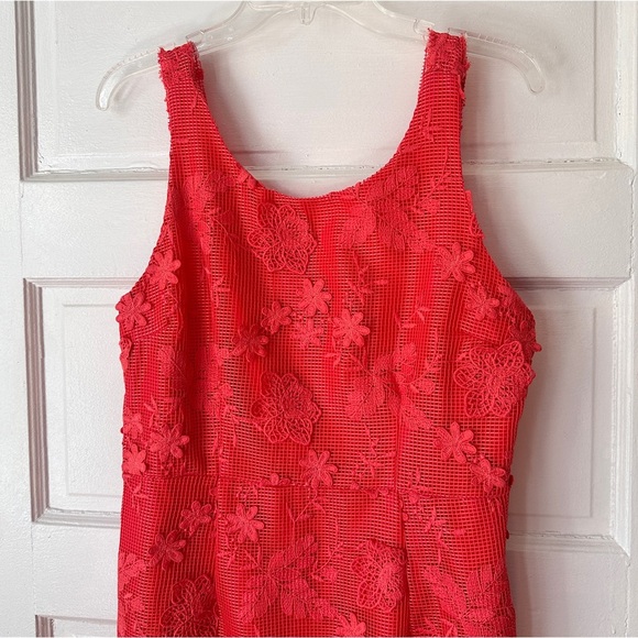 Romeo & Juliet Couture Floral Lace Mini Sheath Dress Cotton Vibrant Coral Large - Picture 5 of 15